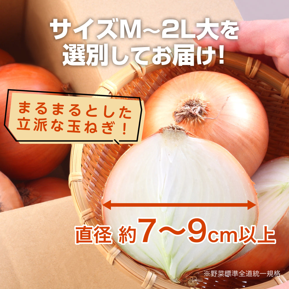 北海道産 玉ねぎ Mサイズ 20kg