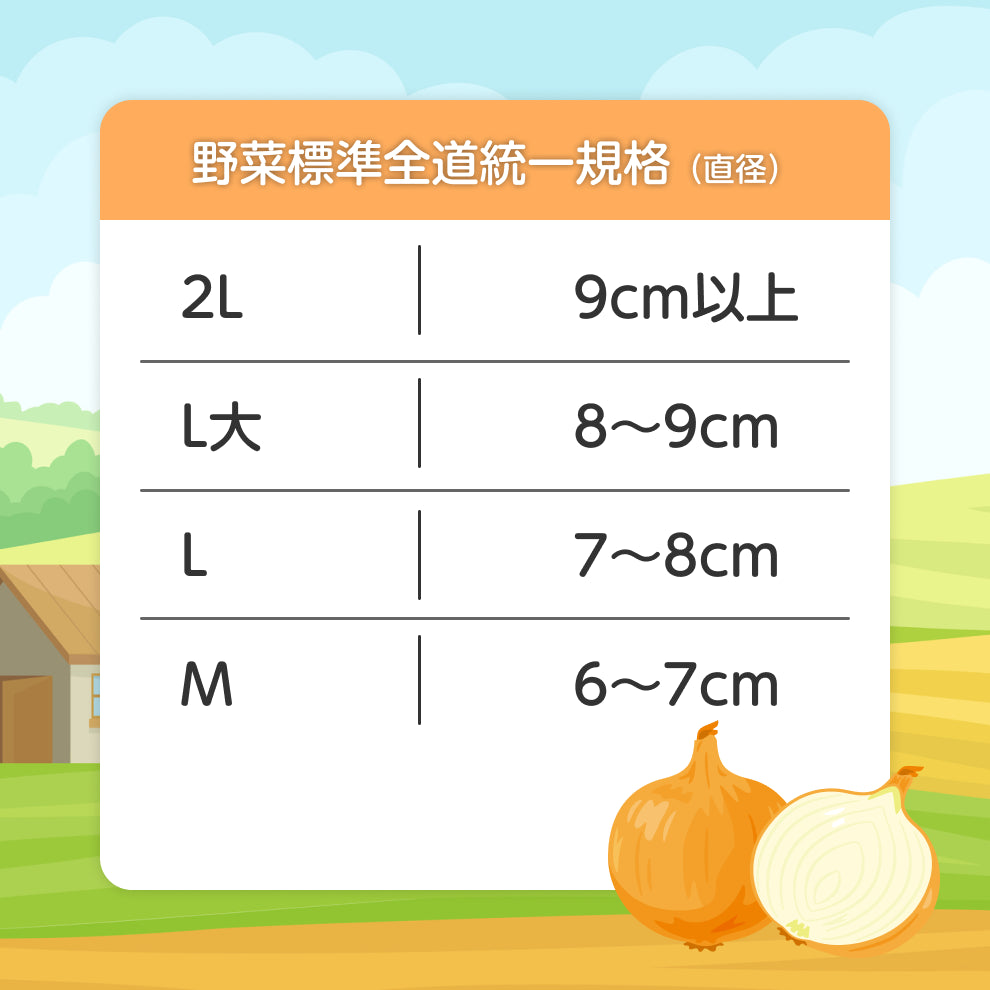 北海道産 玉ねぎ Mサイズ 20kg