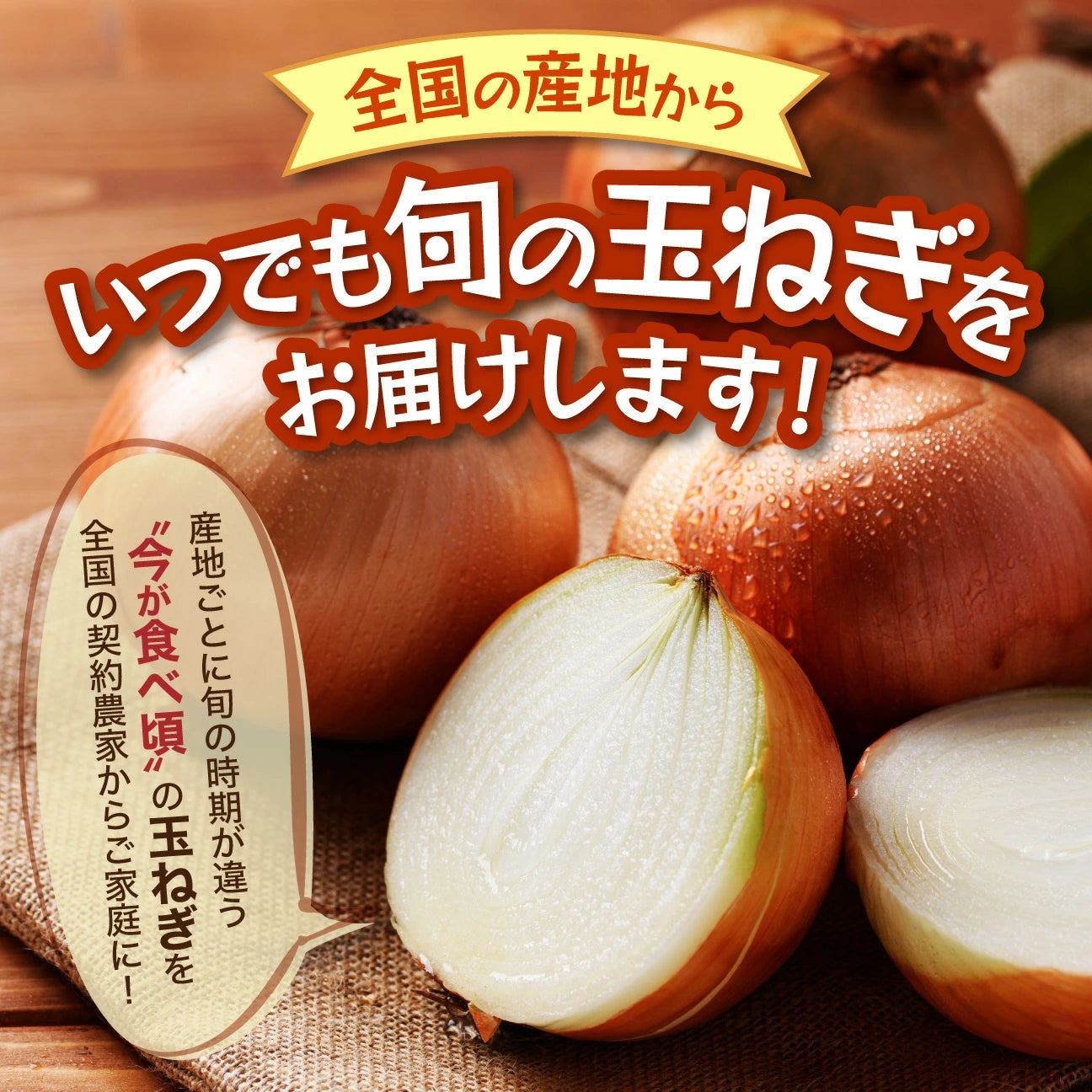 北海道産 玉ねぎ Mサイズ 20kg