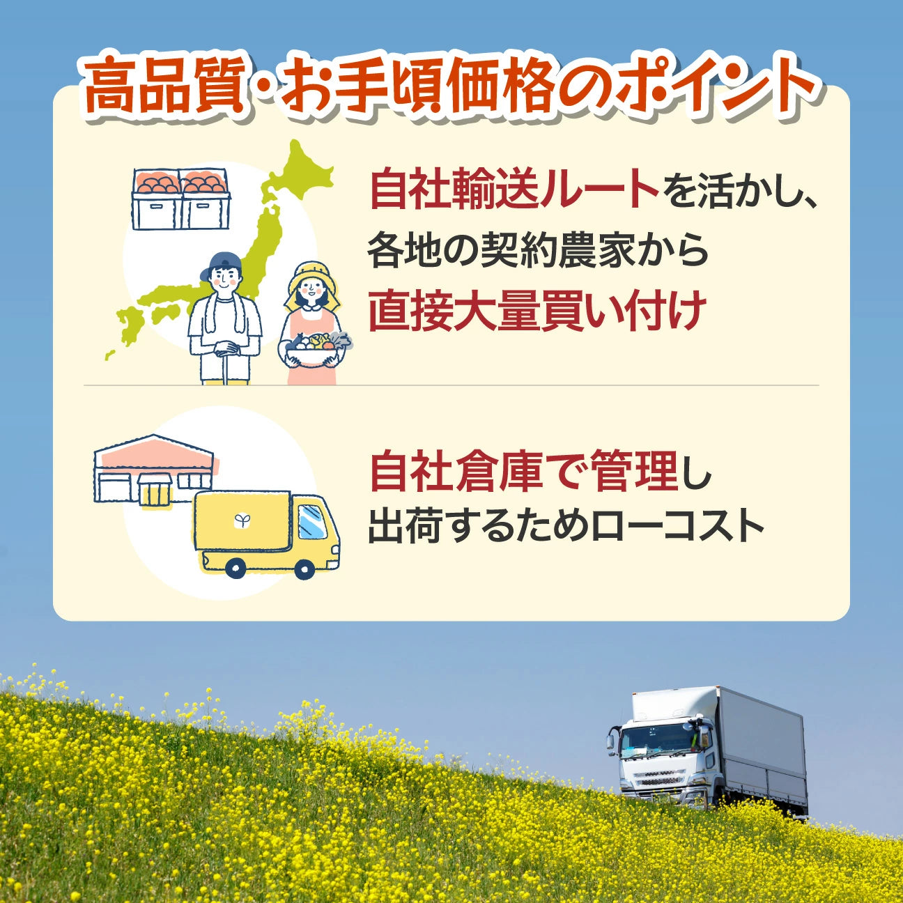 北海道産 玉ねぎ Mサイズ 20kg