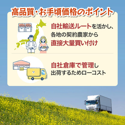 北海道産 玉ねぎ Mサイズ 20kg