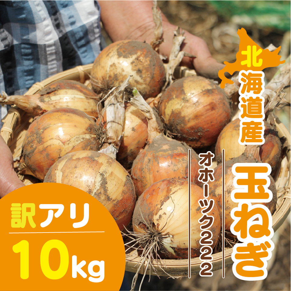 北海道産 玉ねぎ 訳アリ 10kg