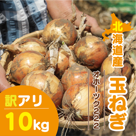 北海道産 玉ねぎ 訳アリ 10kg