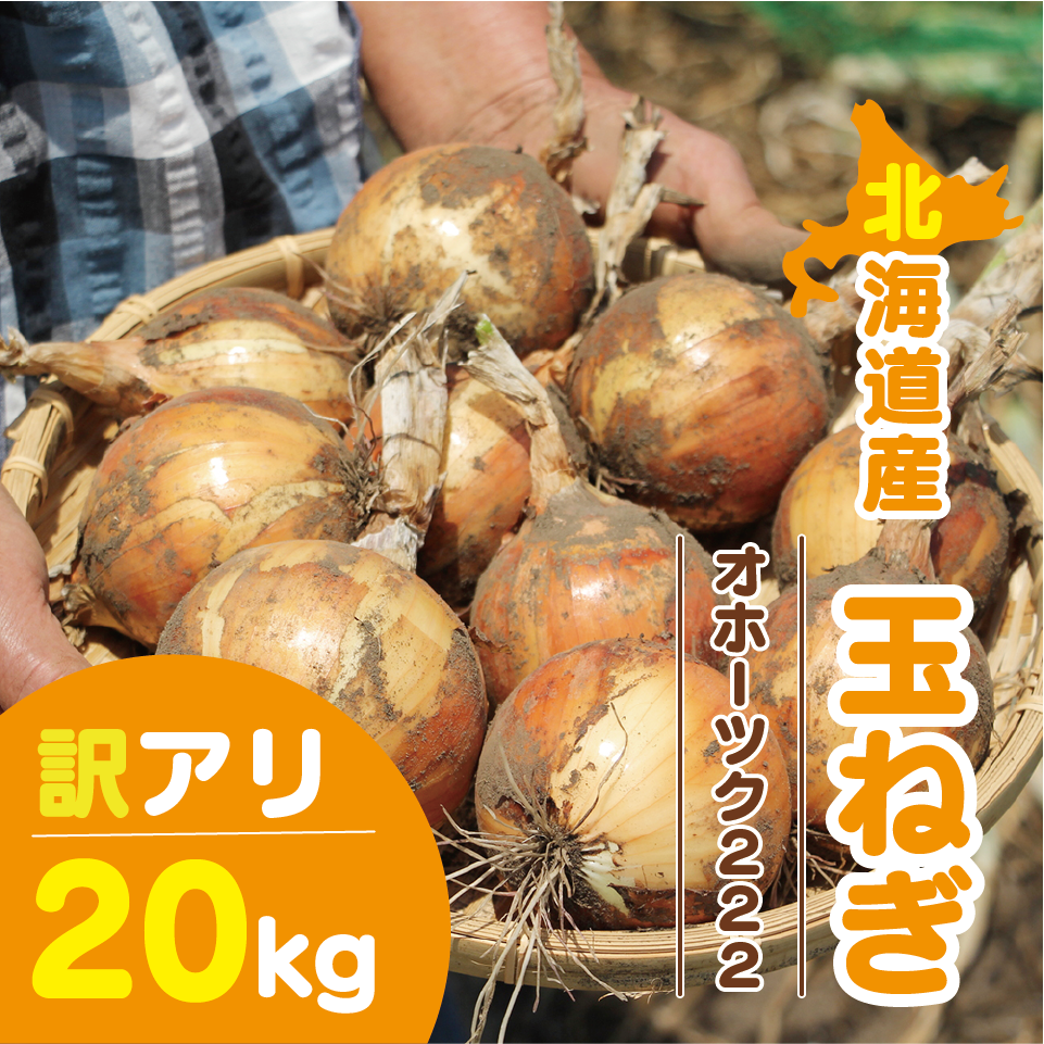 北海道産 玉ねぎ 訳アリ 20kg