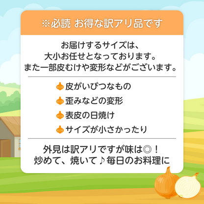 北海道産 玉ねぎ 訳アリ 10kg