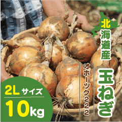 北海道産 玉ねぎ 2Lサイズ 10kg