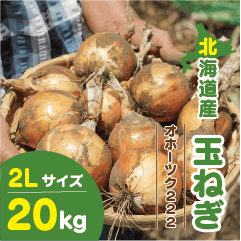 北海道産 玉ねぎ 2Lサイズ 20kg