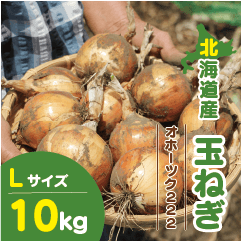 北海道産 玉ねぎ Lサイズ 10kg