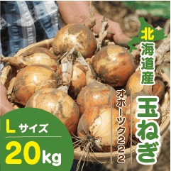 北海道産 玉ねぎ Lサイズ 20kg