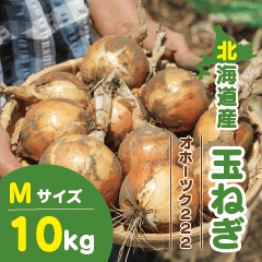北海道産 玉ねぎ Mサイズ 10kg