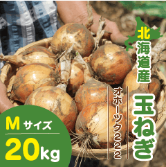 北海道産 玉ねぎ Mサイズ 20kg